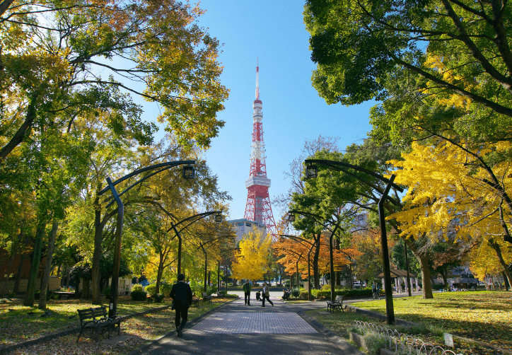 写真提供：（公財）東京都公園協会