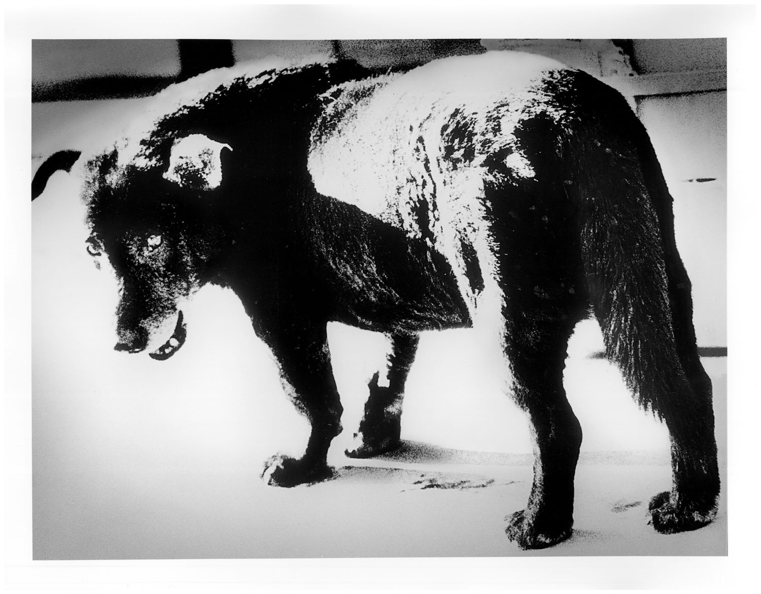 TOKYO WAVES ART EXHIBITION Chapter 2