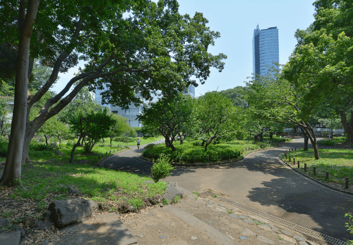 写真提供：（公財）東京都公園協会